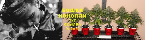 тгк Нефтекумск