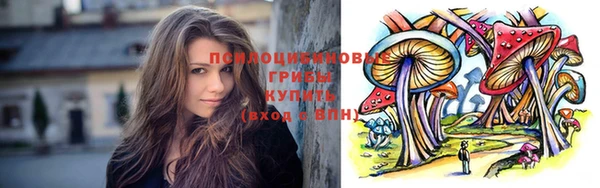 тгк Нефтекумск