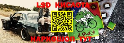 ГАЛЛЮЦИНОГЕННЫЕ ГРИБЫ Донской