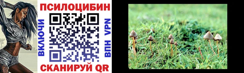 Галлюциногенные грибы мицелий как найти наркотики Зерноград