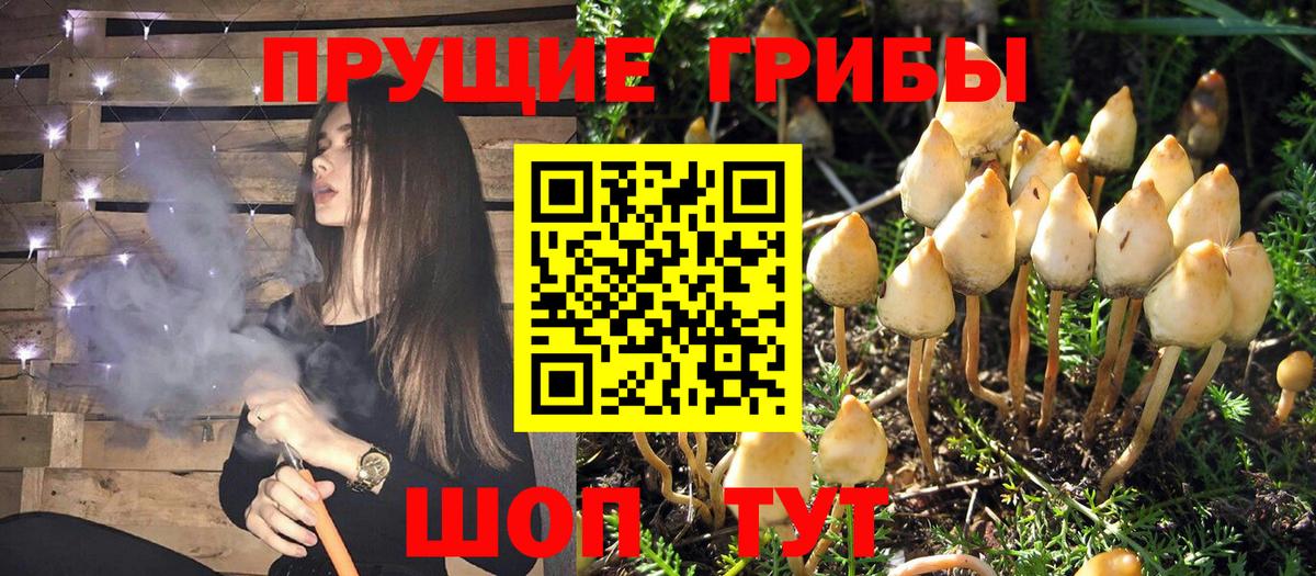 Галлюциногенные грибы мухоморы Зерноград
