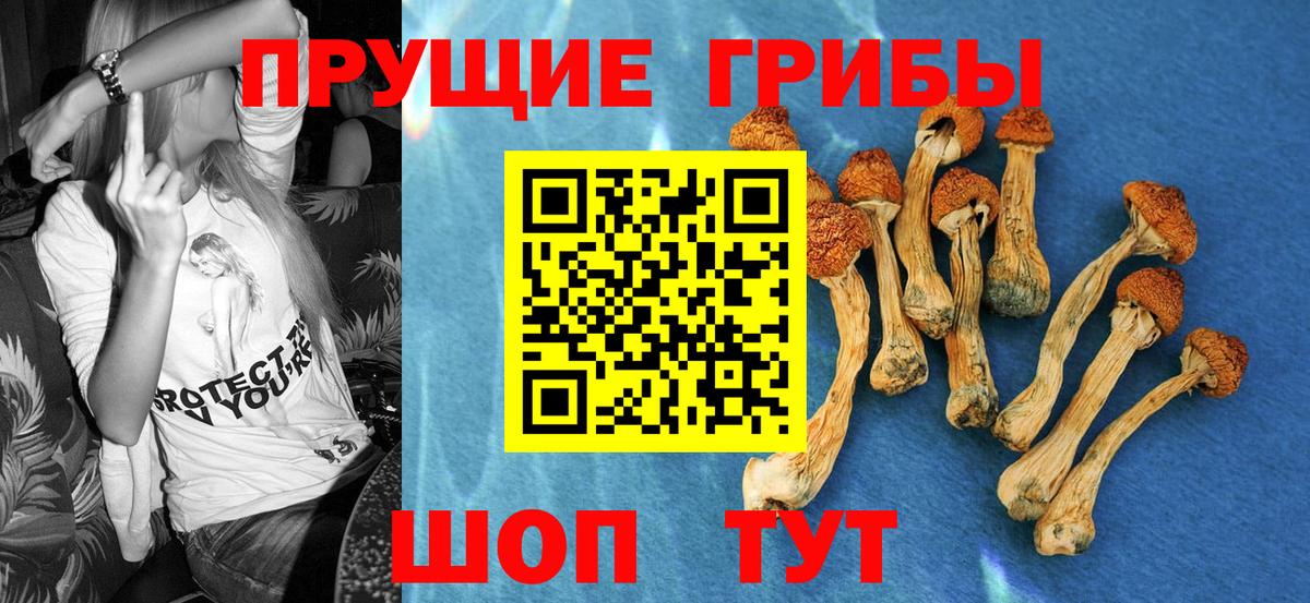 Псилоцибиновые грибы мухоморы  Зерноград  Галлюциногенные грибы мухоморы 