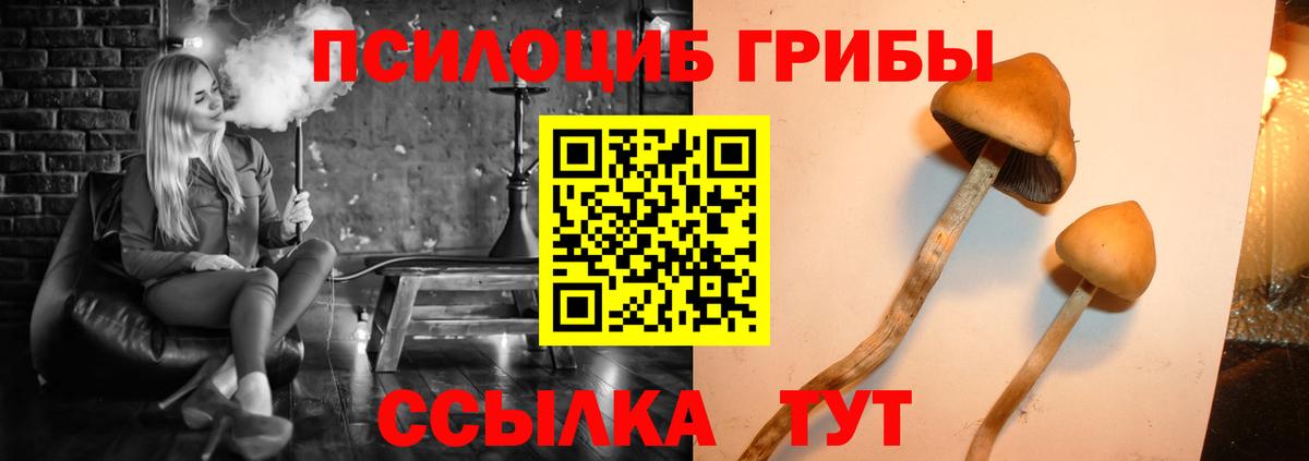 Галлюциногенные грибы мицелий  купить наркотик  Вход с VPN  Зерноград  Псилоцибиновые грибы ЛСД 